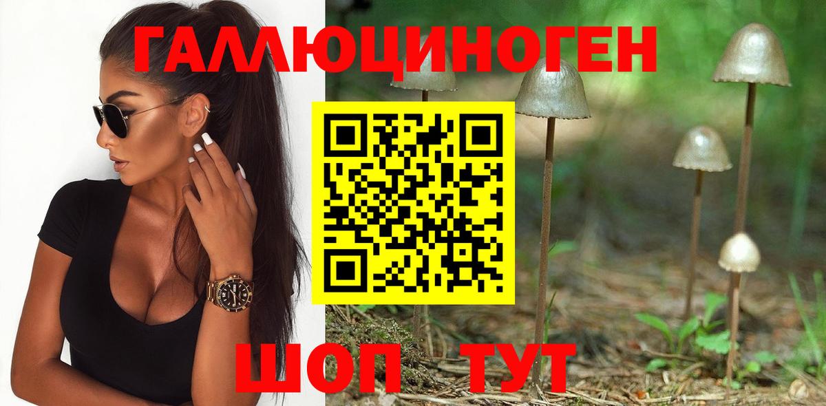 Псилоцибиновые грибы Psilocybe  Псилоцибиновые грибы Psilocybine cubensis  Вход с VPN  Новосибирск 