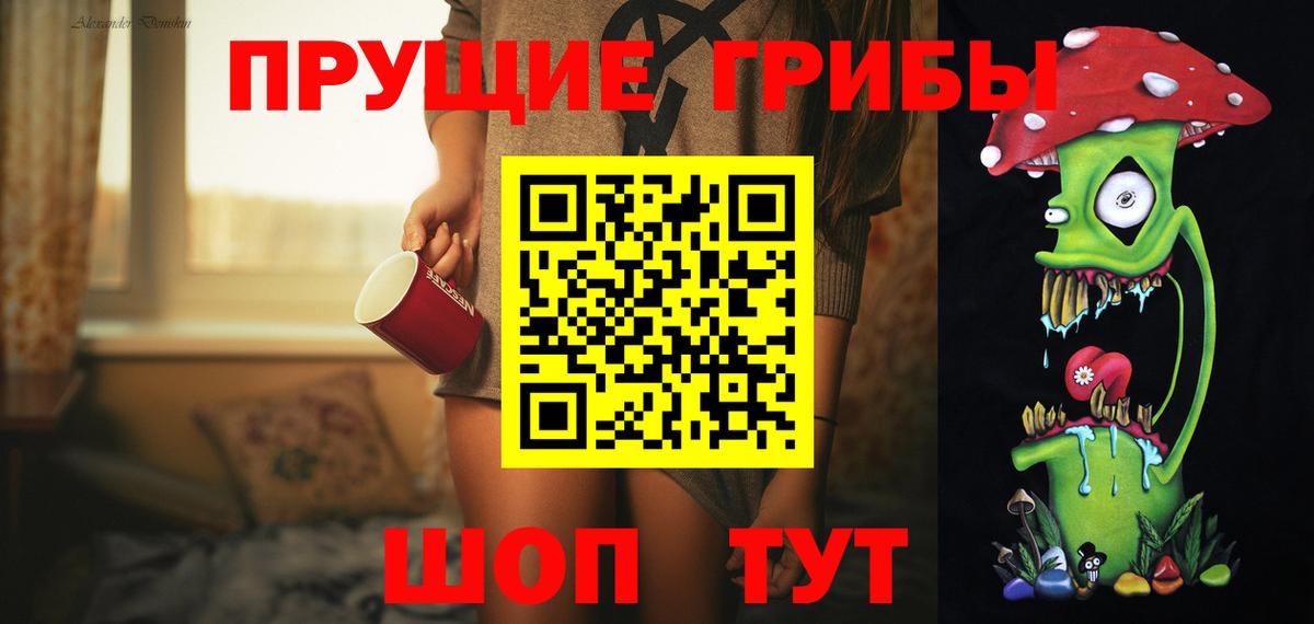 Псилоцибиновые грибы Psilocybine cubensis Новосибирск