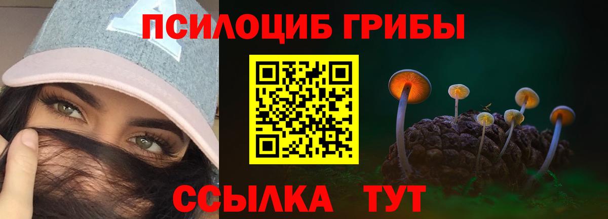 Галлюциногенные грибы GOLDEN TEACHER Новосибирск
